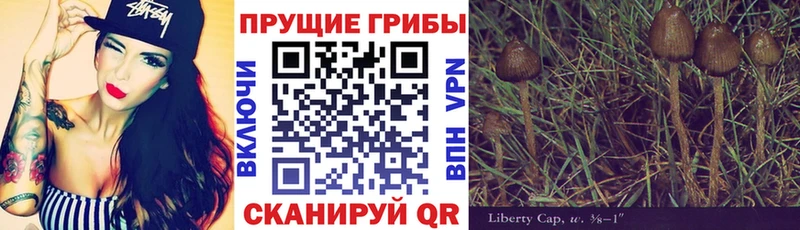 Галлюциногенные грибы MAGIC MUSHROOMS  что такое наркотик  Старая Купавна 